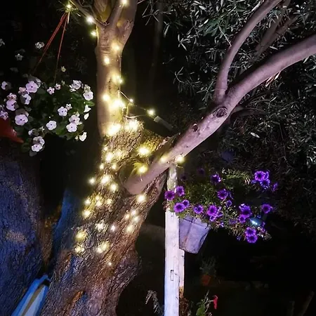 Beb Oasi Marina Bed & Breakfast 2*