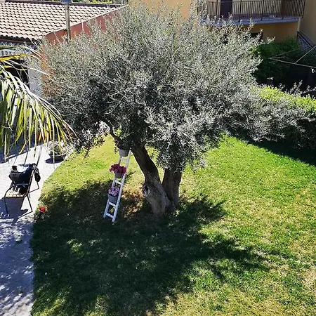 Beb Oasi Marina Campofelice Di Roccella