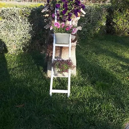 Beb Oasi Marina فندق مبيت وإفطار 2*